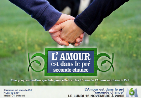 NL1244-image-amour