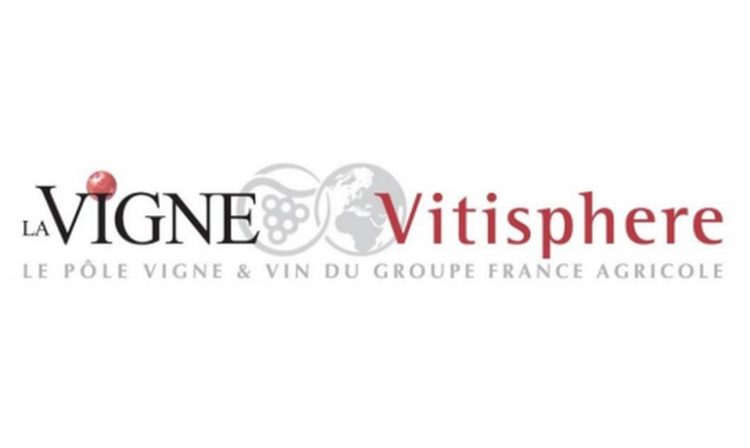 La nouvelle version de vitisphere.com vient renforcer le pôle vigne et vin du Groupe France Agricole