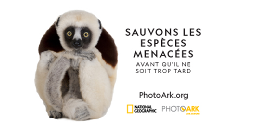 ExterionMedia France soutient la campagne sur la protection des espèces animales en voie de disparition de National Geographic