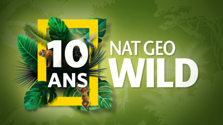 Nat Geo Wild France célèbrera ses 10 ans le 9 septembre avec une grille dédiée
