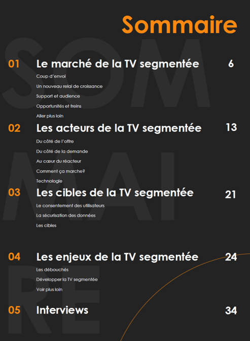 Realytics publie un livre blanc sur la TV segmentée en France